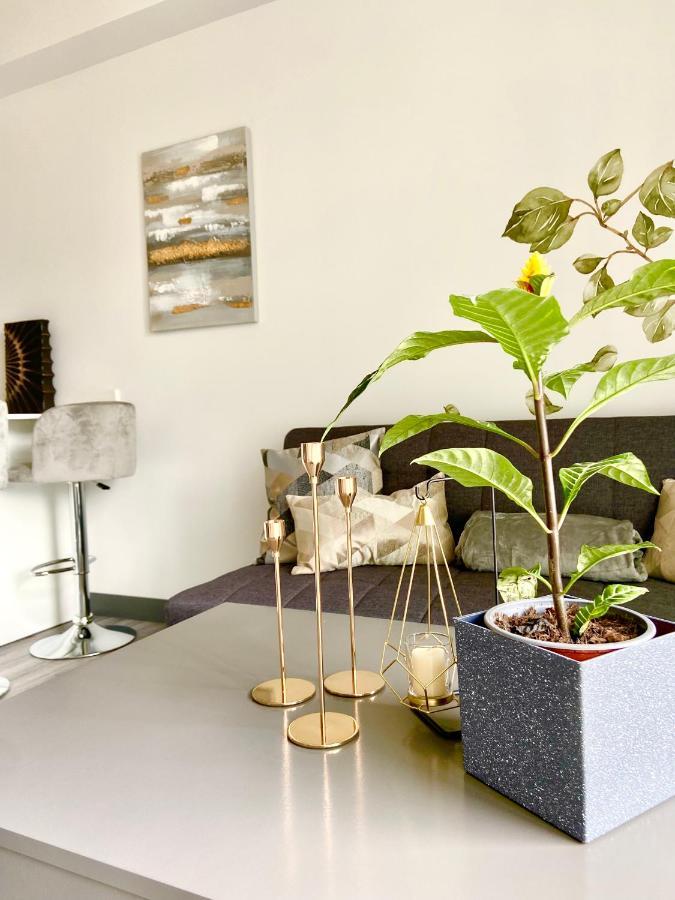 Comodo Y Elegante Apartamento En Fabuloso Condo! San José Exteriör bild