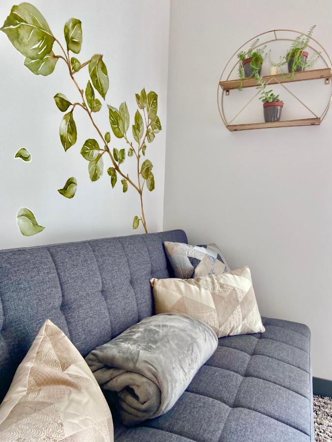 Comodo Y Elegante Apartamento En Fabuloso Condo! San José Exteriör bild