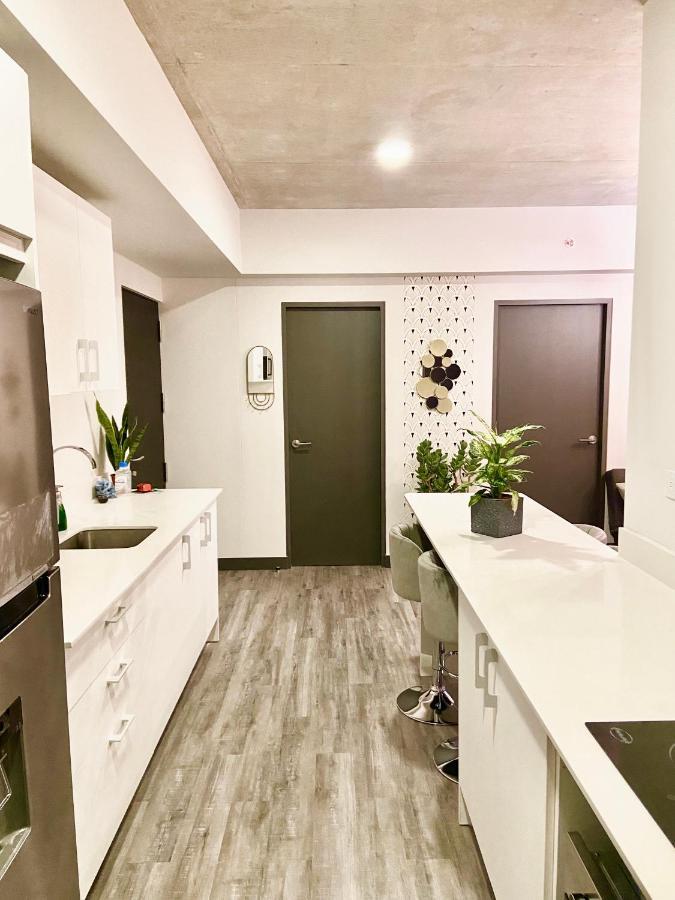 Comodo Y Elegante Apartamento En Fabuloso Condo! San José Exteriör bild