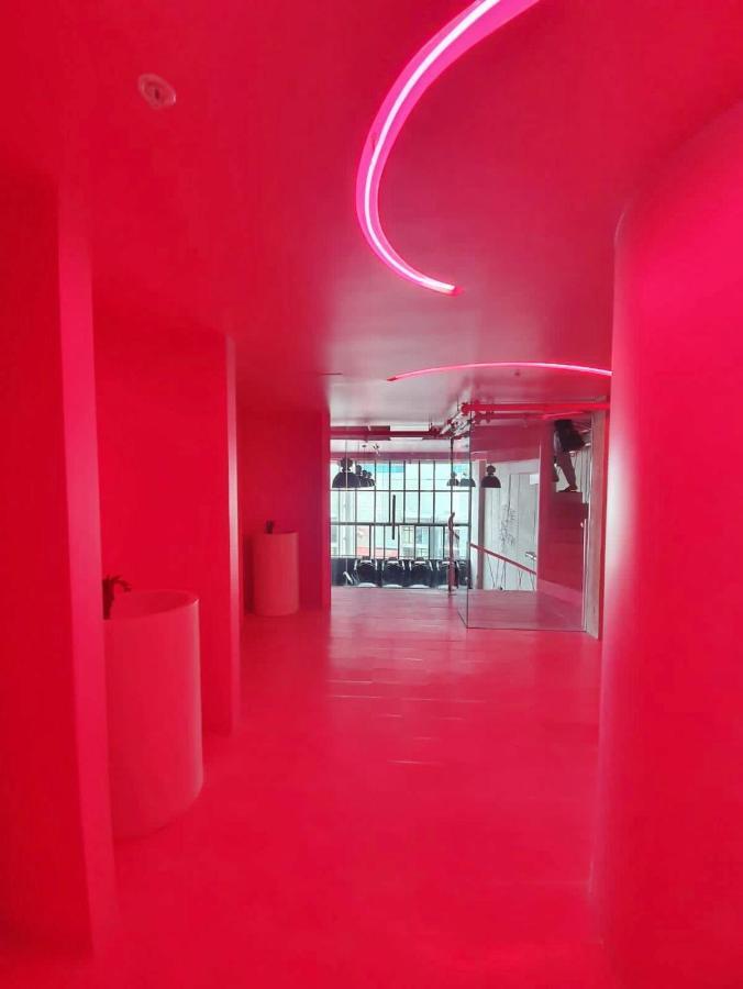 Comodo Y Elegante Apartamento En Fabuloso Condo! San José Exteriör bild